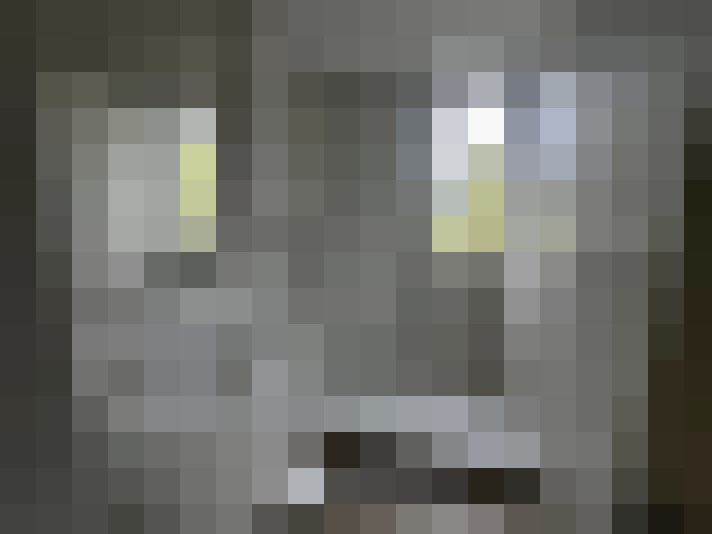  / #8