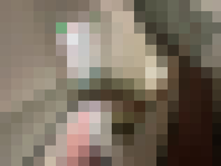  / #33
