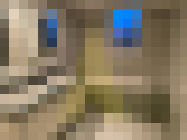  / #5