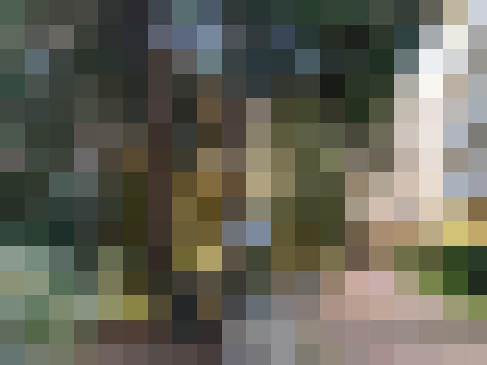  / #11