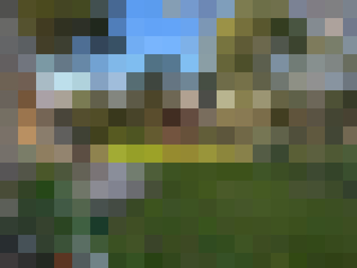  / #7