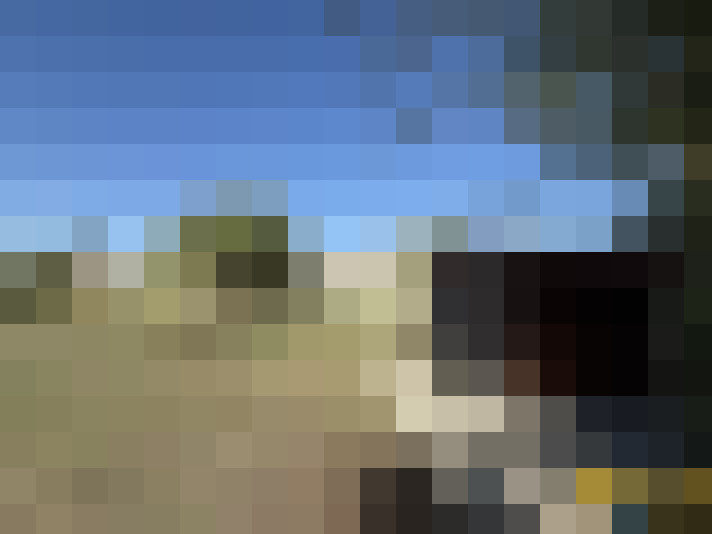  / #17