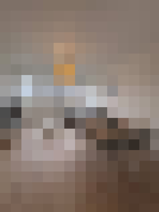  / #15
