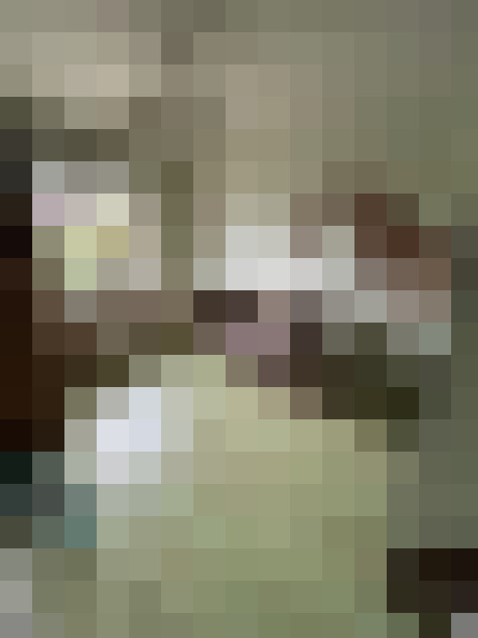  / #13