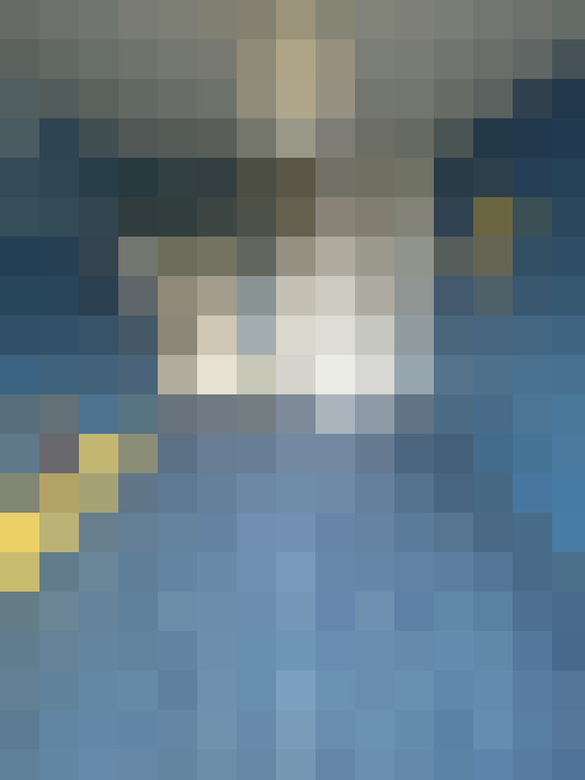 / #15
