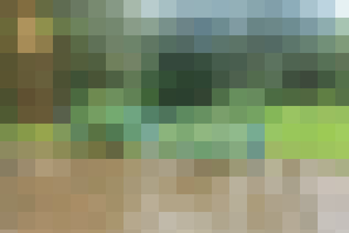  / #14