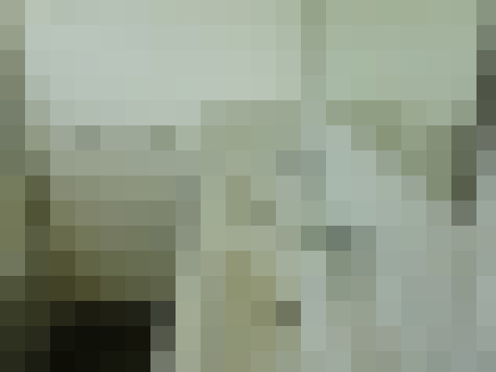  / #11