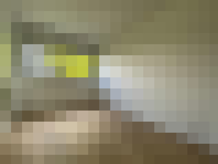  / #7