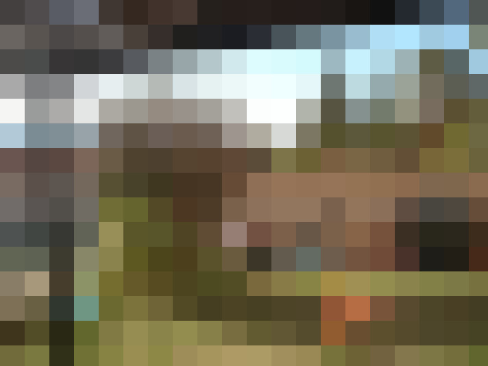  / #13