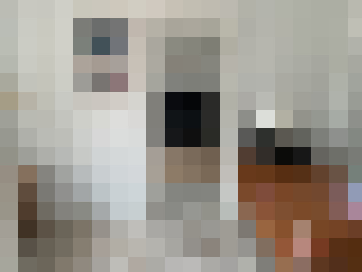  / #14