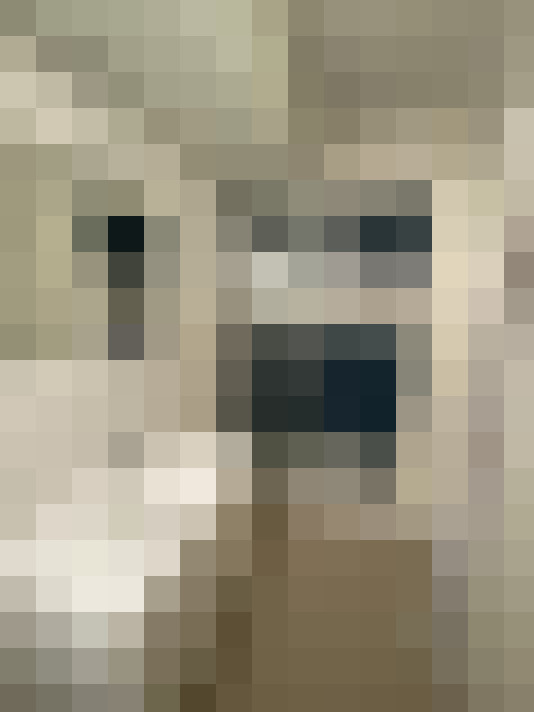  / #22
