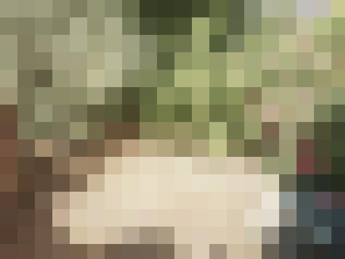  / #23