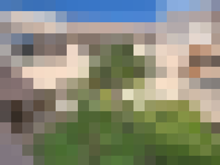  / #16