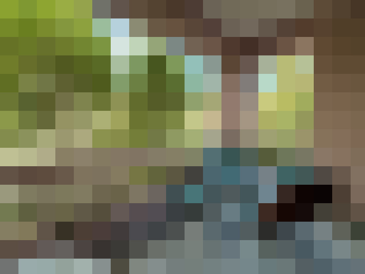  / #14