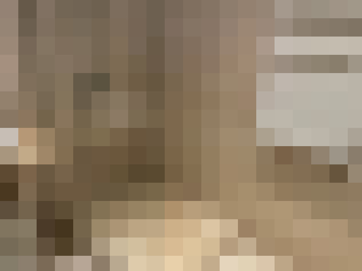  / #16