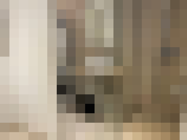  / #15