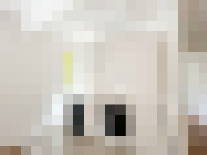  / #8