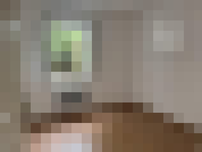 / #12