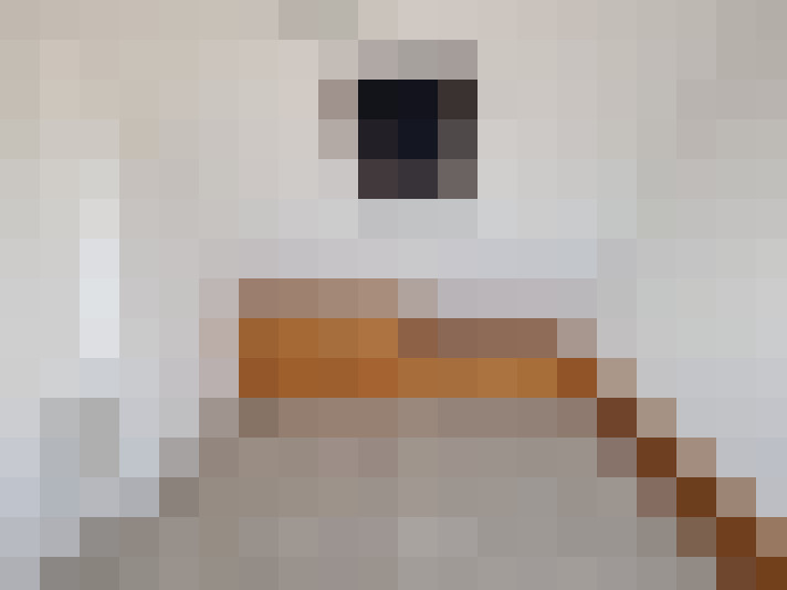  / #5