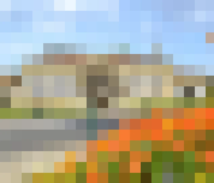  / #13