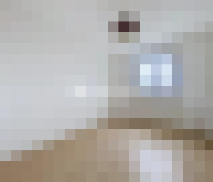 / #7