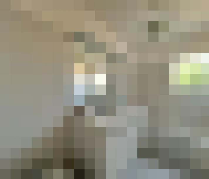  / #17