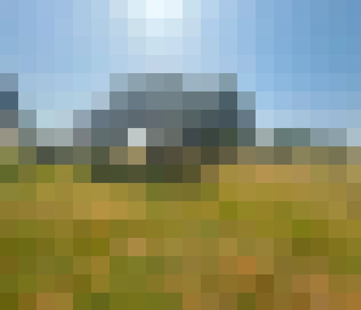  / #7