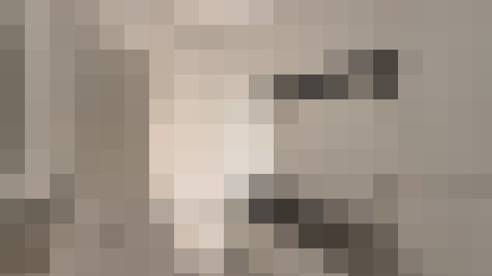  / #11