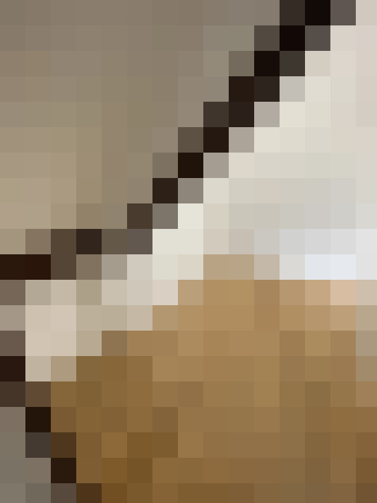  / #13