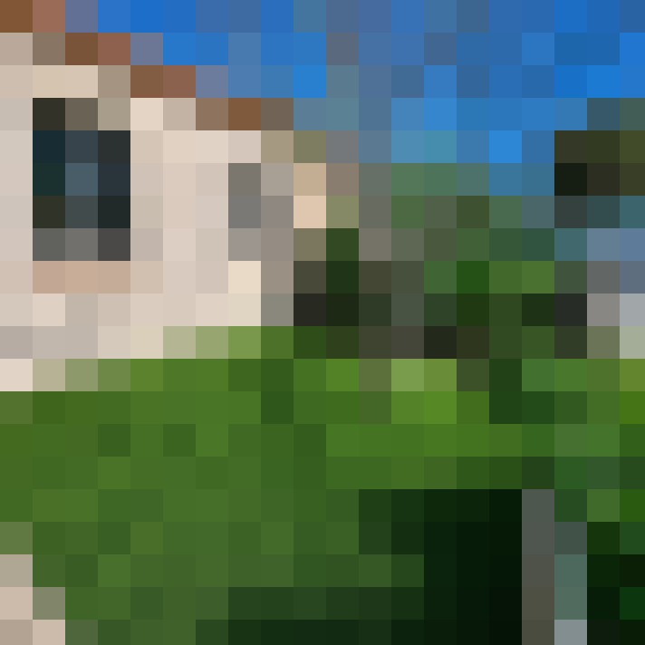  / #15