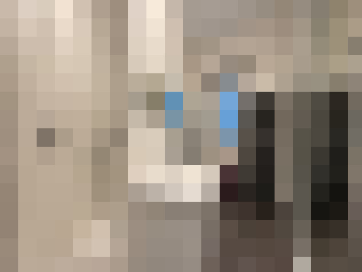  / #7
