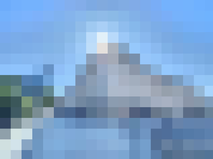  / #7