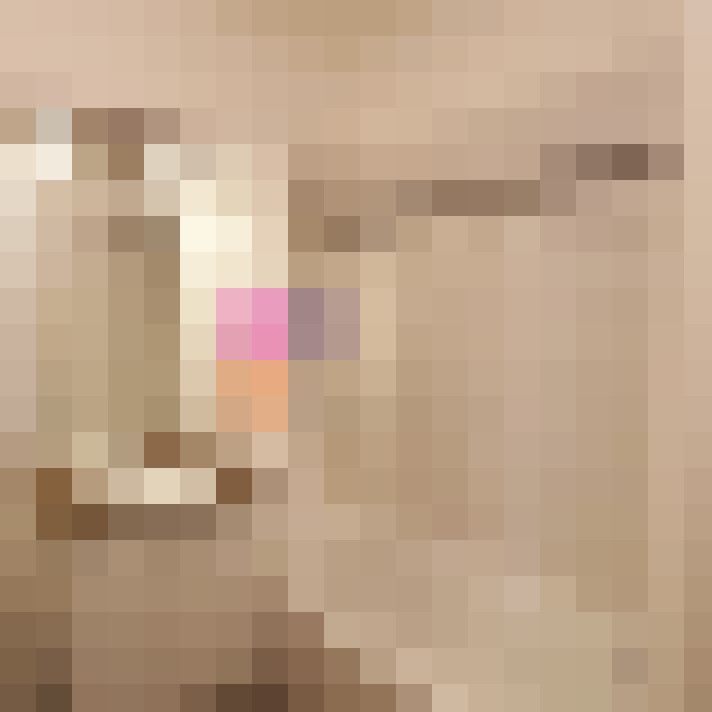  / #15