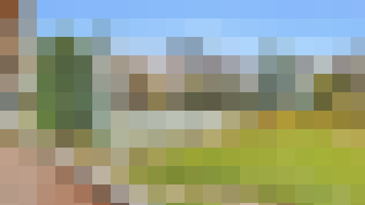  / #15