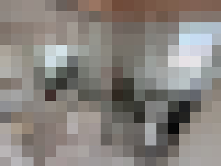  / #14