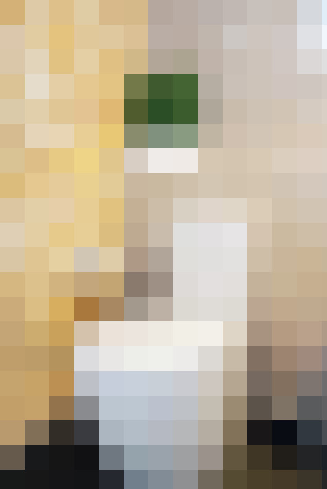  / #31
