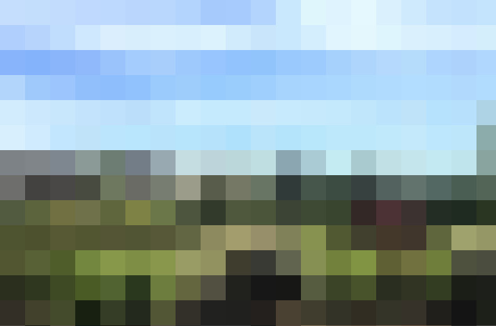  / #7