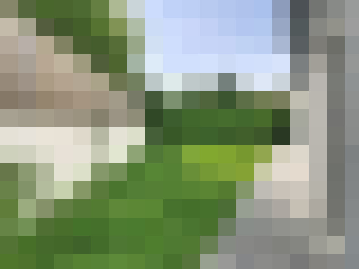  / #16
