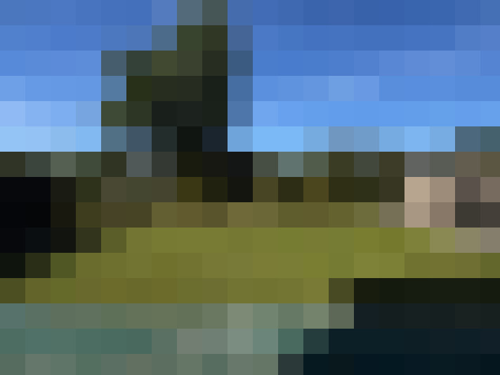  / #15