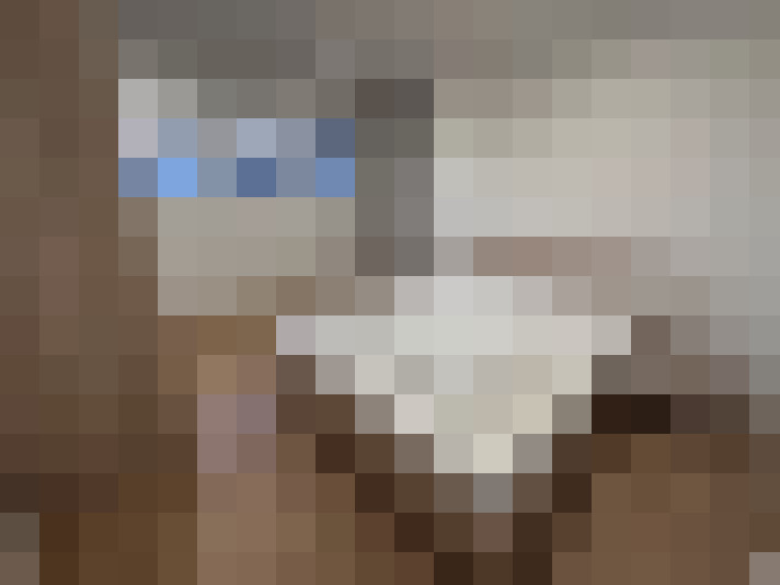  / #14