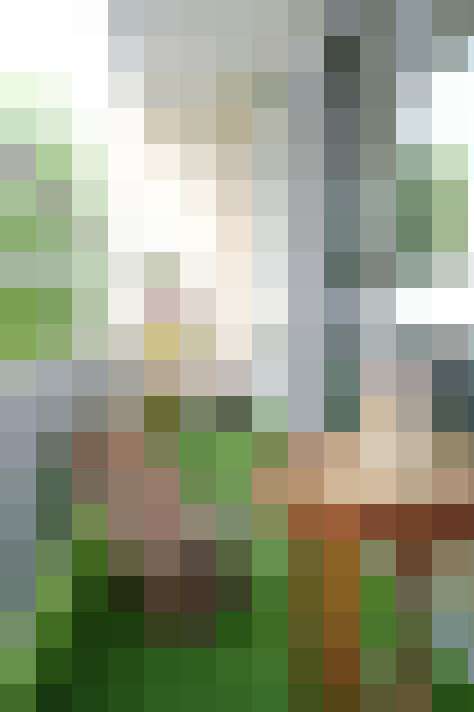  / #18