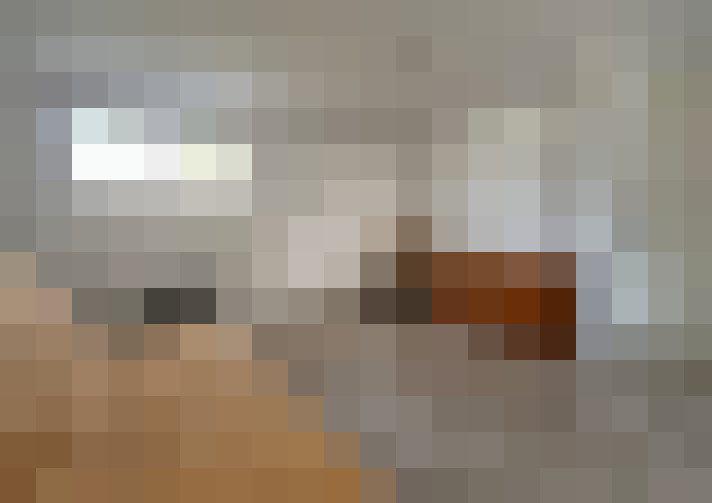  / #16