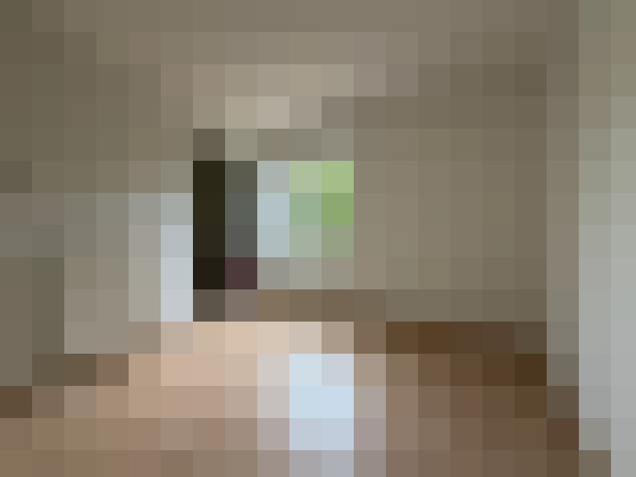  / #6