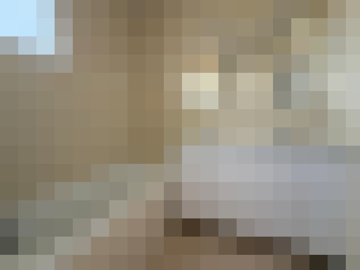  / #14