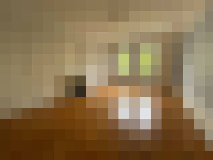  / #13