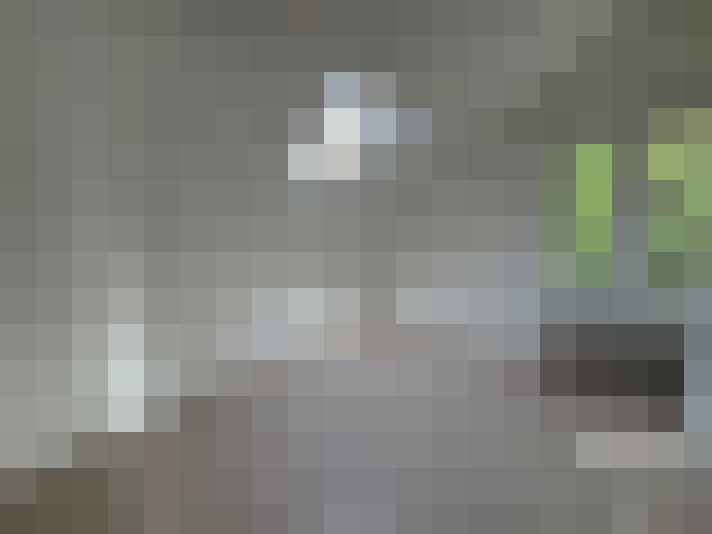  / #11