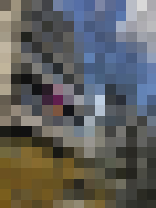  / #16