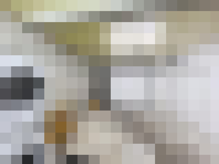  / #19