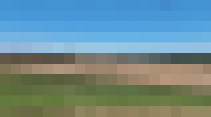 / #11