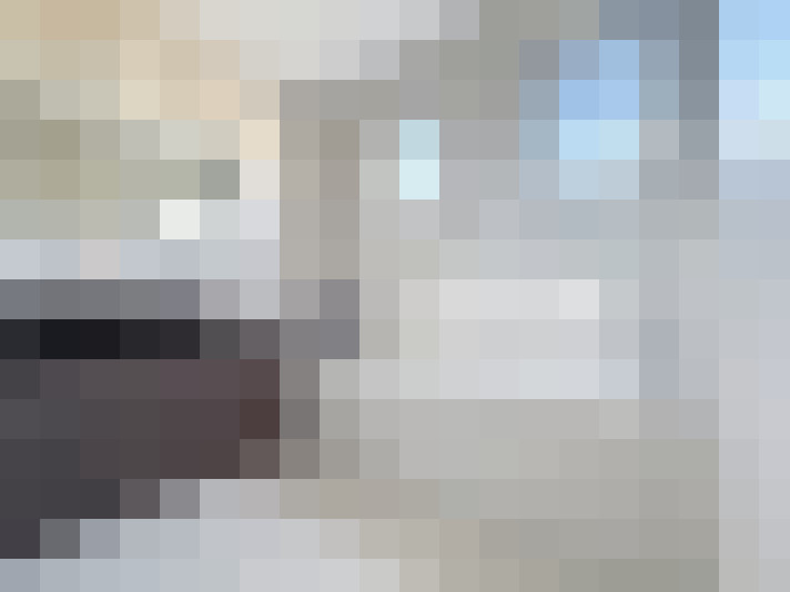  / #20